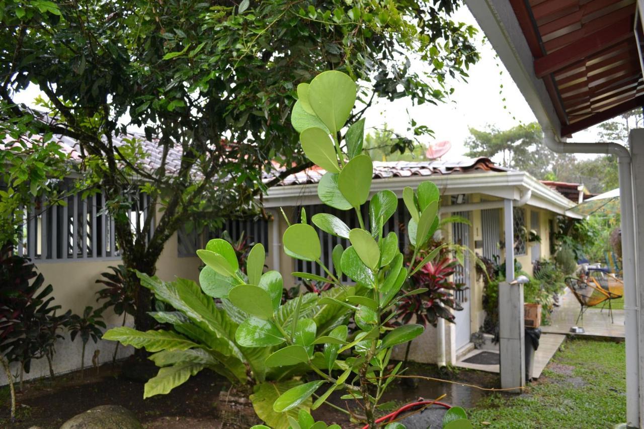 Casa Sophia 3 Listings Apartment 1 Or Apartment 2 Separately Or Apt 1 And 2 Together All With Fo Internet Guápiles Eksteriør billede