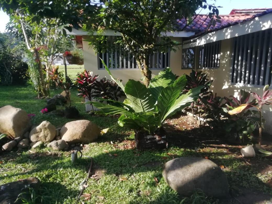 Casa Sophia 3 Listings Apartment 1 Or Apartment 2 Separately Or Apt 1 And 2 Together All With Fo Internet Guápiles Eksteriør billede