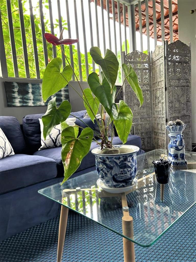 Casa Sophia 3 Listings Apartment 1 Or Apartment 2 Separately Or Apt 1 And 2 Together All With Fo Internet Guápiles Eksteriør billede