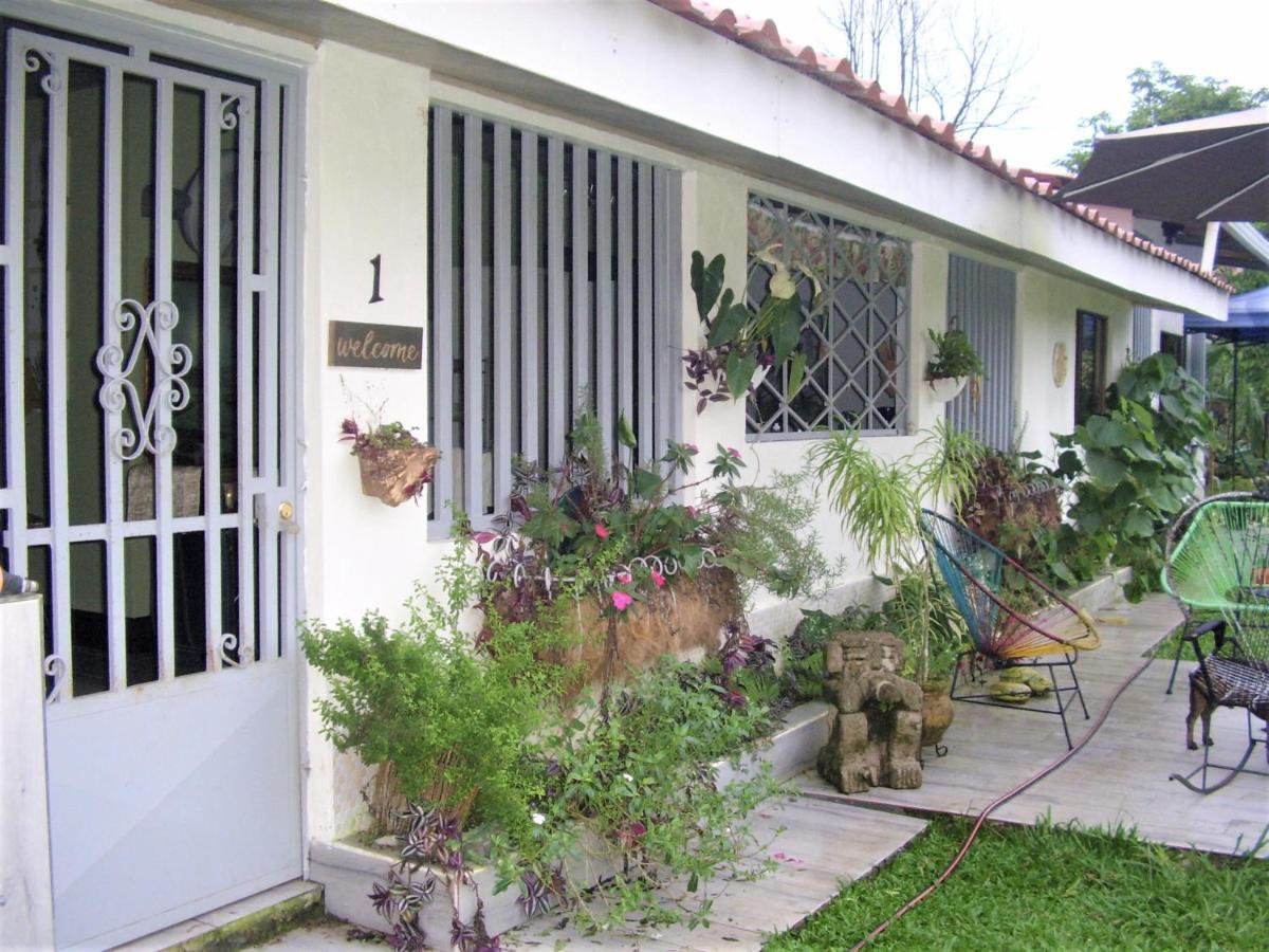 Casa Sophia 3 Listings Apartment 1 Or Apartment 2 Separately Or Apt 1 And 2 Together All With Fo Internet Guápiles Eksteriør billede